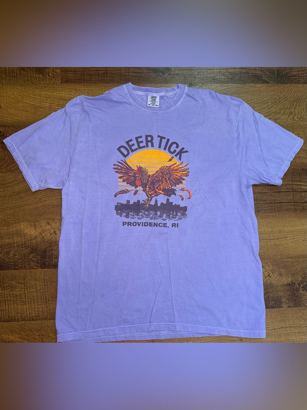 Comfort Colors Lavender Deer Tick Providence RI Graphic Tee